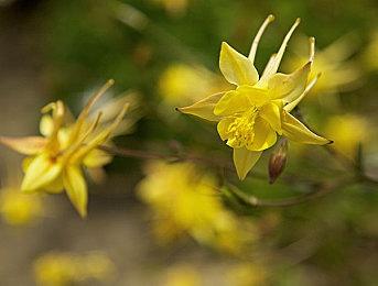 Steam新一周销量榜 《霍格沃茨之遗》继续第二